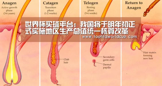 世界杯买球网站