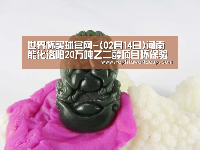 世界杯买球官网-(02月14日)河南能化洛阳20万吨乙二醇项目环保验收工作正式启