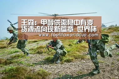 王森：甲醇供需稳中有变货源流向现新篇章_世界杯买球官网